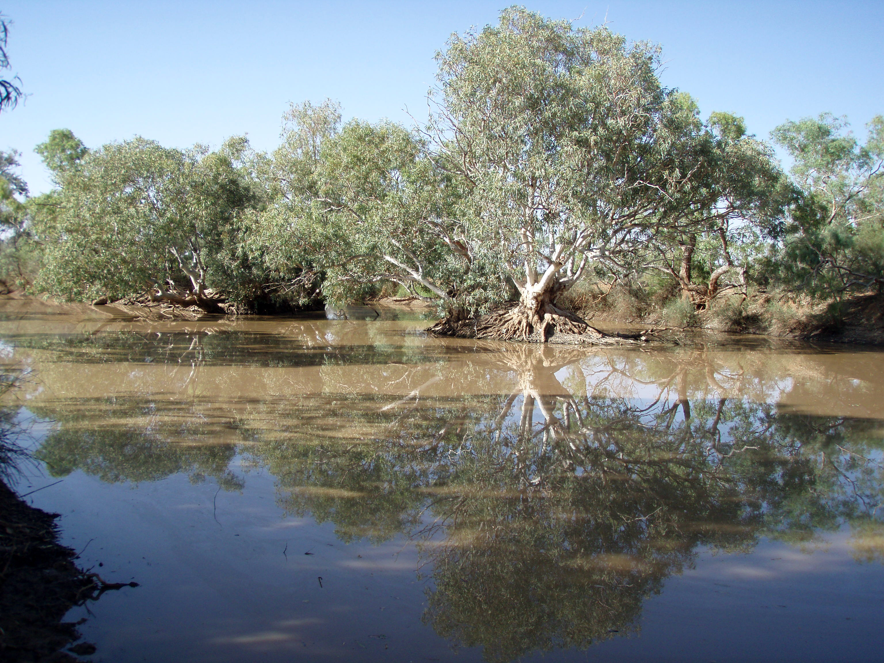 Hookeys waterhole in Neales catchment, SA. November 2009 Credit: ​Dale McNeil (South Australian Research and Development Institute)