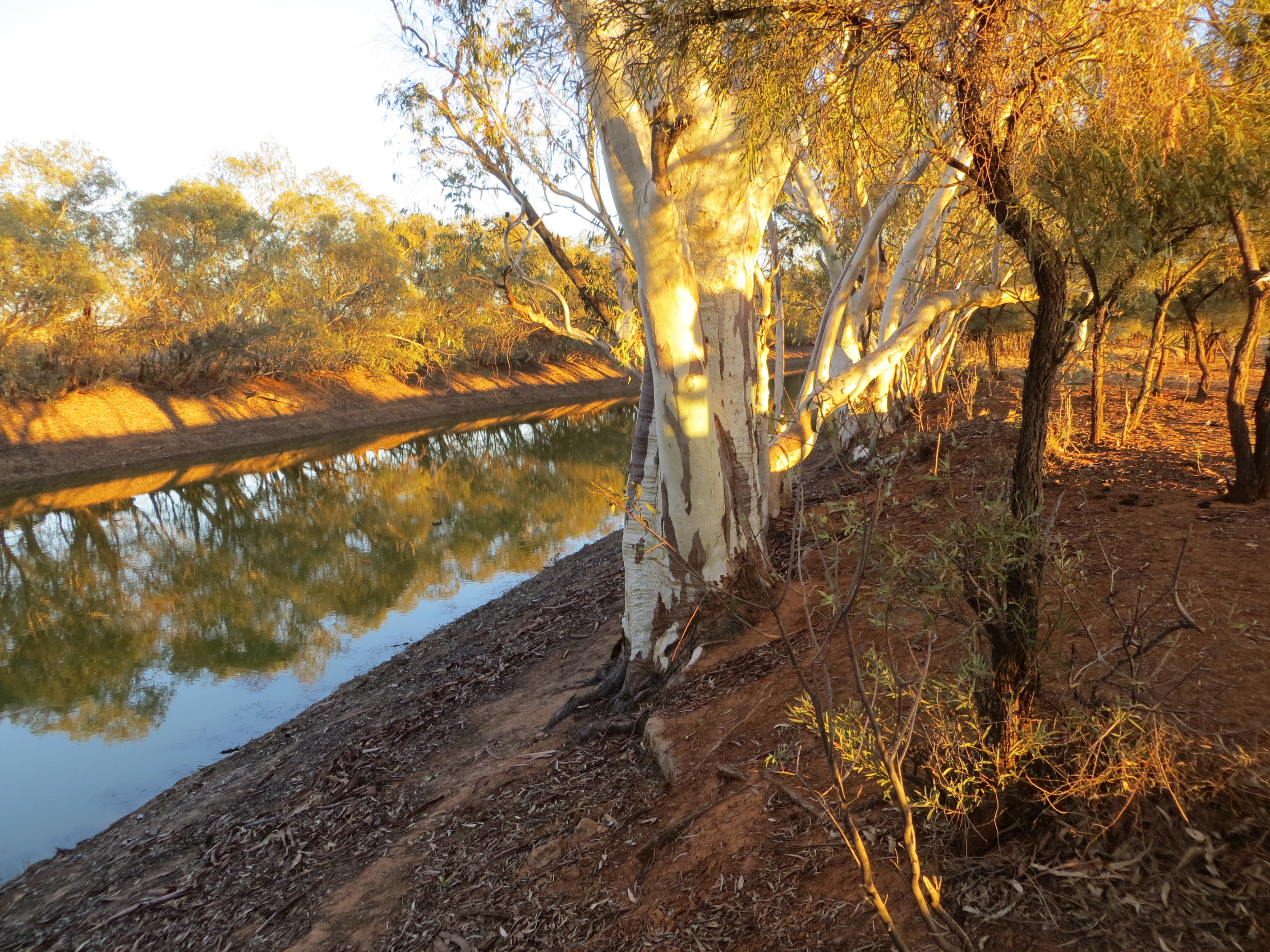 Eringa waterhole in the Macumba catchment, SA. April 2013 Credit: Catherine Miles (Miles Environmental Consulting)