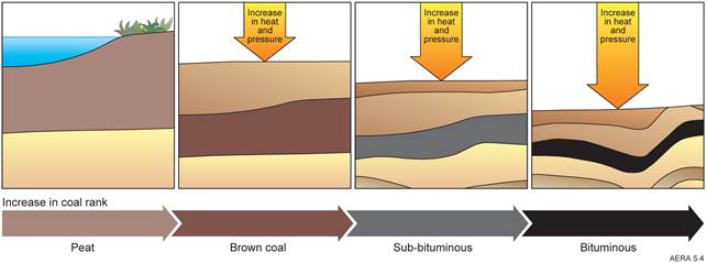 Brown coal (lignite) is a soft brown combustible sedimentary rock