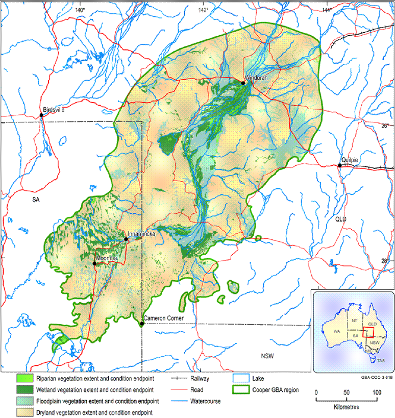 The greatest extent of wetland vegetation and floodplain vegetation are both in the central part of the Cooper GBA region, stretching south-west of Windorah in Queensland almost to the South Australia border near Innamincka. There is another significant area of wetland vegetation in the south-west of the Cooper GBA region, north of Moomba in South Australia. The greatest extent of riparian vegetation is also south-west of Windorah in Queensland but this does not stretch as far south as the wetland vegetation. The majority of the remaining areas in the Cooper GBA region are predominantly dryland vegetation.