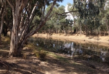 Alice River Queensland by K. Love 2014. Commonwealth of Australia 2015 cc by 3-0