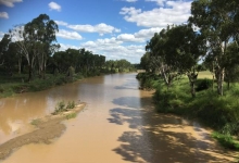 Maranoa River near Mitchell QLD Credit: J. Constable, 2015 Commonwealth of Australia 2015 cc by 3-0