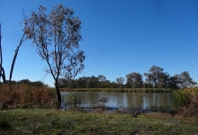 Credit: Gwydir Wetlands by B. Moggridge 2014. Copyright State of New South Wales through the Department of Trade and Investment, Regional Infrastructure and Services, 2016