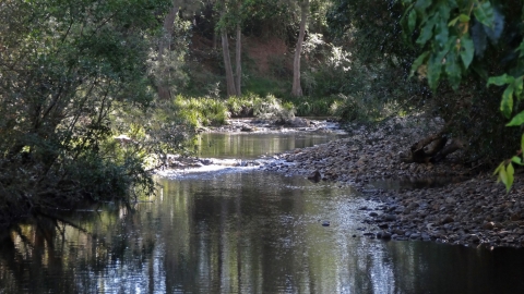 Wards River, NSW, 10 December, 2013 Credit: Heinz Buettikofer, CSIRO
