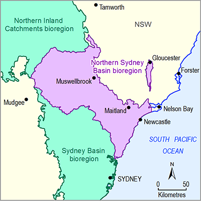 Thumbnail of the Northern Sydney Basin Bioregion