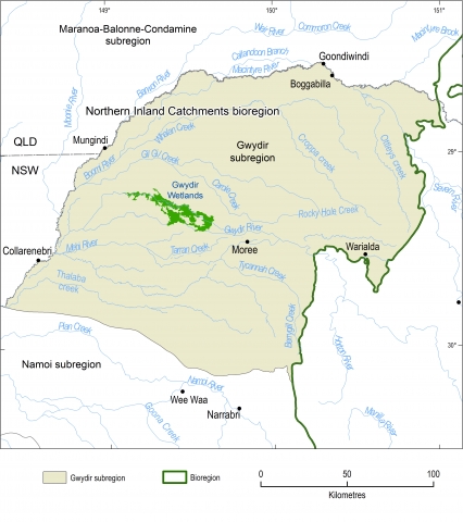 Map of the Gwydir subregion