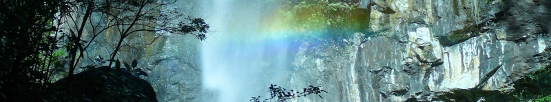 ​Rainforest waterfall in Border Ranges National Park, NSW, 2008 Credit: Liese Coulter, CSIRO