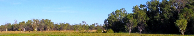Artesian Spring Wetland at Doongmabulla Nature Refuge, QLD, 2013 Credit: Jeremy Drimer, University of Queensland Artesian Spring Wetland at Doongmabulla Nature Refuge, QLD, 2013 Credit: Jeremy Drimer, University of Queensland