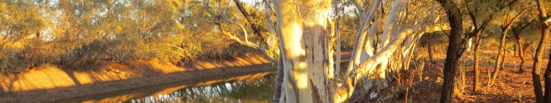 Eringa waterhole in the Macumba catchment, SA. April 2013 Credit: Catherine Miles (Miles Environmental Consulting)