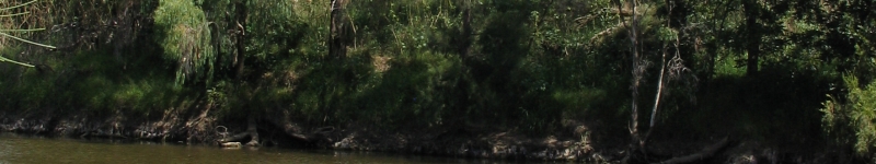 Gwydir River near Pallamallawa © CSIRO Photo taken by CSIRO team member during BA field trip