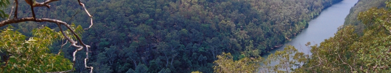 Photograph of Nepean Gorge, Mulgoa, in the Sydney Basin bioregion