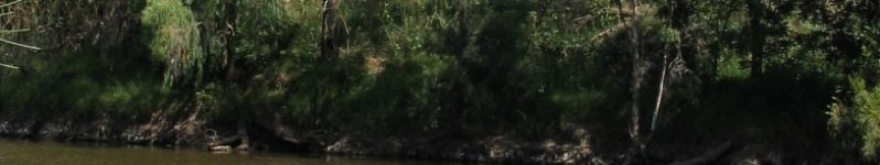 Gwydir River at Pallamallawa © CSIRO Photo taken by CSIRO team member during BA field trip