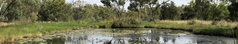 Photo of Joshua Spring, Galilee subregion. Credit: E. Turner (Department of the Environment and Energy)