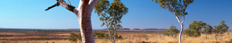 Geological and Bioregional Assessments