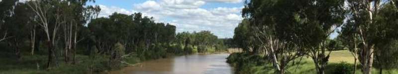 Maranoa River near Mitchell QLD Credit: J. Constable, 2015 Commonwealth of Australia 2015 cc by 3-0