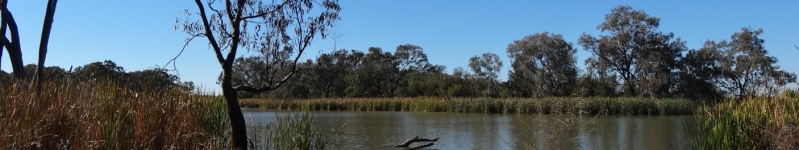 Credit: Gwydir Wetlands by B. Moggridge 2014. Copyright State of New South Wales through the Department of Trade and Investment, Regional Infrastructure and Services, 2016